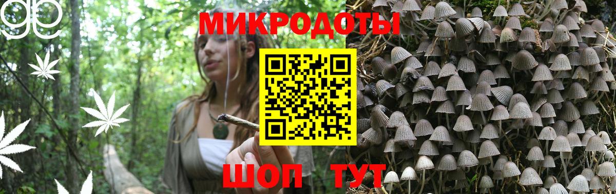 Псилоцибиновые грибы мухоморы  Галлюциногенные грибы Cubensis  Соль-Илецк  Вход с VPN 